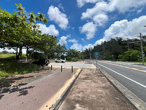 �A�J�e�B�[�_�E�o���^�̒��ԏ�̎ʐ^