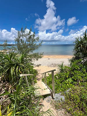 �~�����2�ڂ̊K�i�̏ォ��K�i�ƃr�[�`�������ʐ^