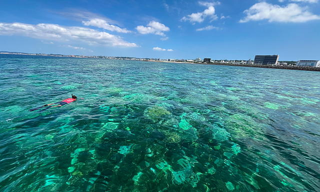 �X��p�`�}���[�i�O�̃T���S�ʃ|�C���g�ɂăV���m�[�P�����O