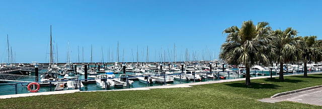 �X��p�`�}���[�i�̎ʐ^