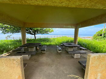 �������C�݂̖k�����ɂ��钓�ԏ�̓����̎ʐ^