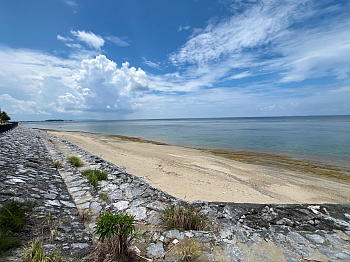 �������C�݂ŃV���m�[�P�����O������ꍇ�̒��ԏꂩ��쐼�������ʐ^