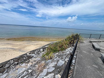 �������C�݂̓쐼���ɍ~����邱�Ƃ��������ʐ^