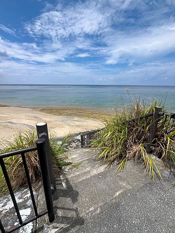 �������C�݂̓쐼���ɍ~���K�i�̎ʐ^