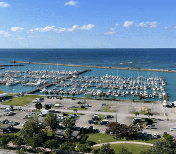 �X��p�`�}���[�i�̏��ʐ^