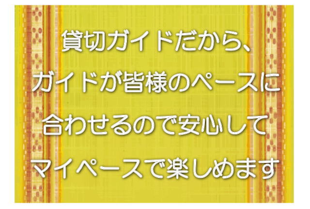 貸切ガイドだから、ガイドが皆様のペースに合わせるので安心してマイペースで楽しめます