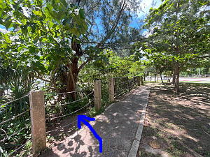 ビーチに降りるために鎖をくぐるところの写真