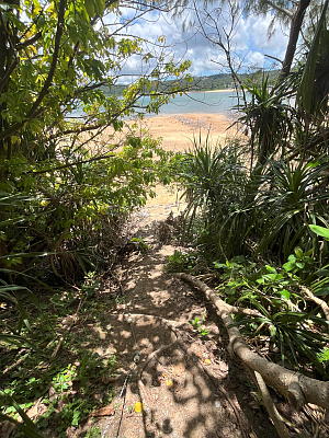 ビーチに降りる道から海が見えてきたところの写真