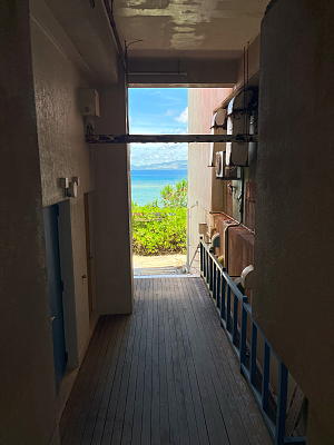 ��َq��a�̉���ʂ��ĂȂ��䂭���̊C�������Ă����Ƃ���̎ʐ^