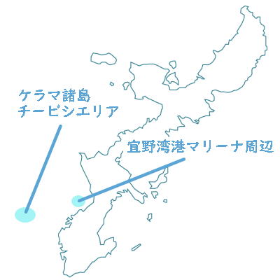 沖縄の海遊びのポイントを示すイラスト