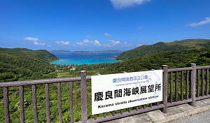 �Ƃ������r�[�`���R�̏ォ�猩���ʐ^